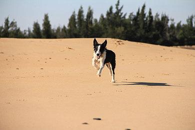 《极限竞速》新作截图泄露 爆料显示已进入beta阶段